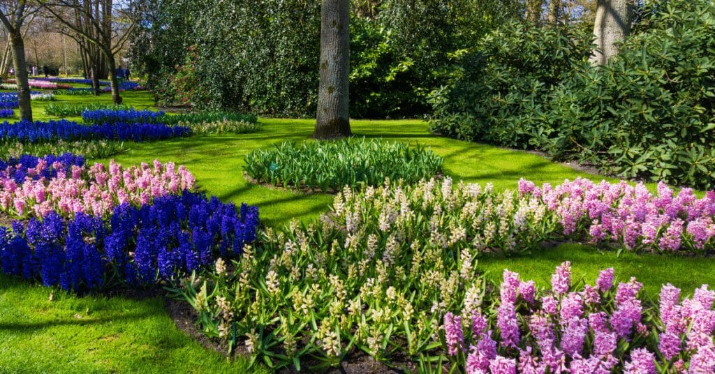 How Colors Can Influence Your Outdoor Space Design