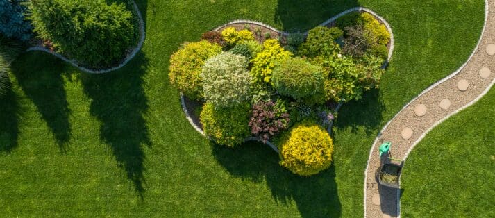landscape design Cypress