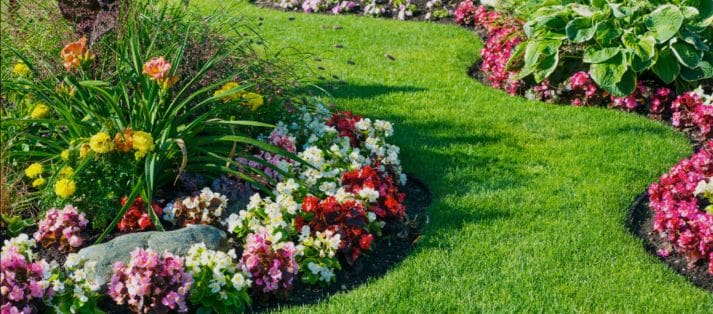 landscape design New Braunfels