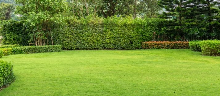 landscape design San Antonio