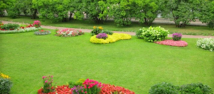 landscape design San Antonio
