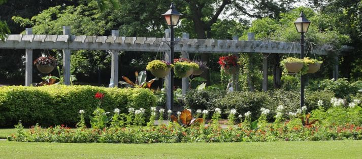 landscape design