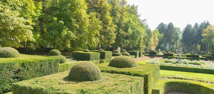 landscape design San Antonio