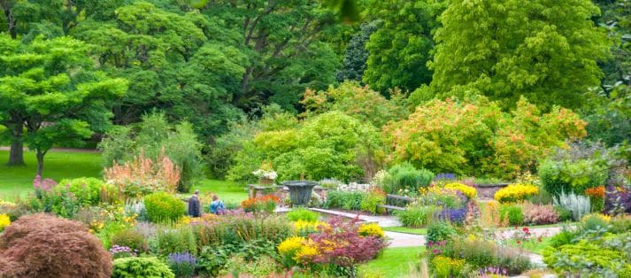 landscape design consultants