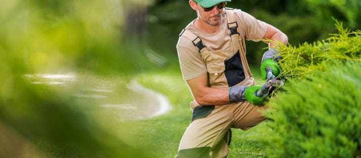 landscape design services