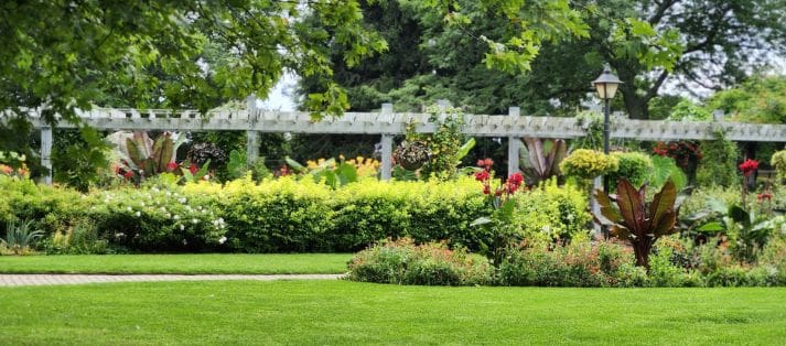 landscape design services