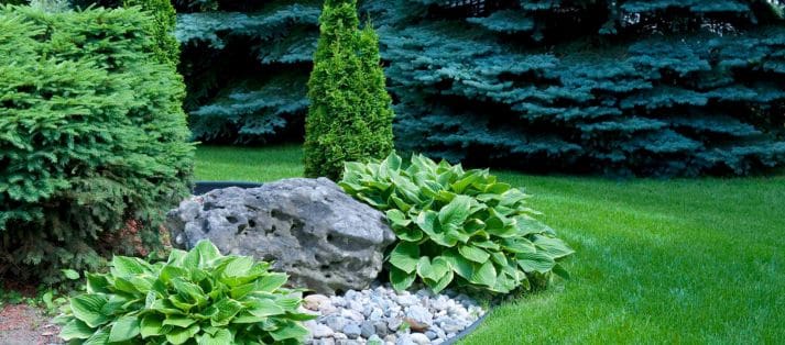 landscape designer