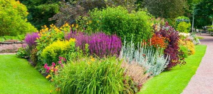 landscaping consultant