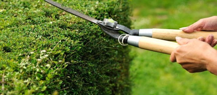 landscape design services