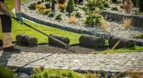 Landscape Installation