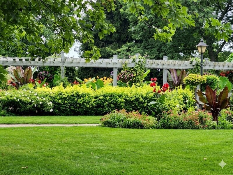 Beautiful Landscape Design