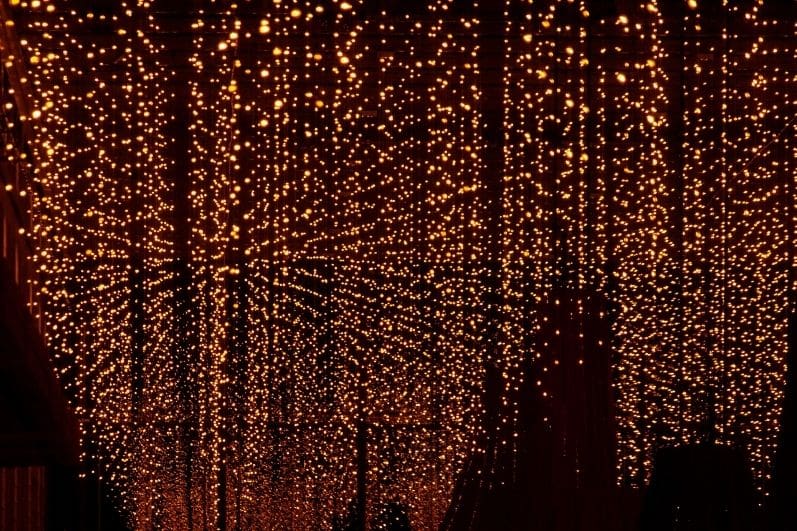 Fairy Lights