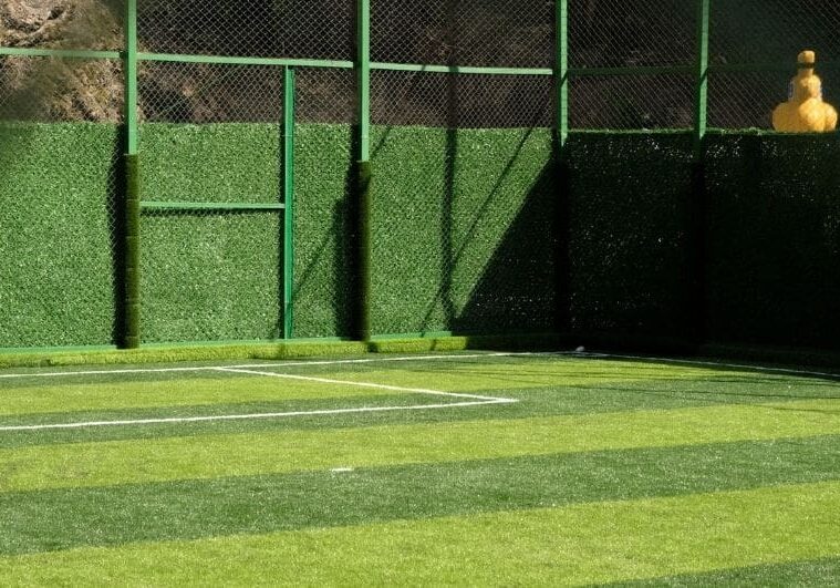 Artificial Turf Outdoors
