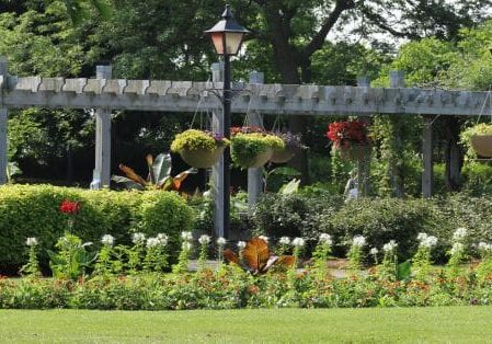 landscape design