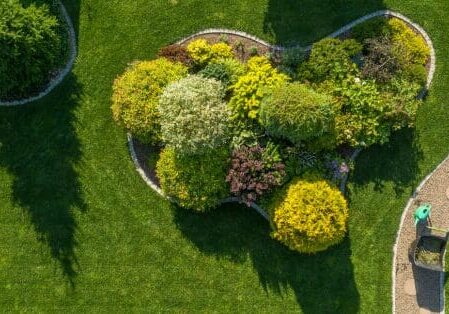 landscape design Cypress