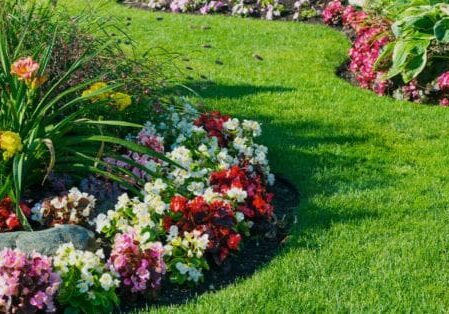 landscape design New Braunfels