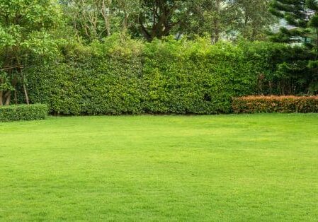 landscape design San Antonio