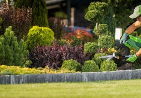 landscape design services