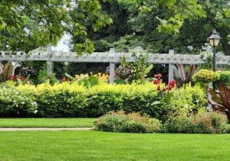 landscape design services