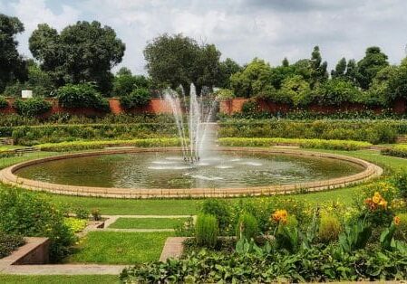 landscape designer San Antonio