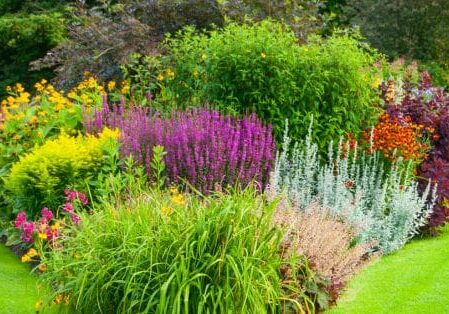 landscaping consultant